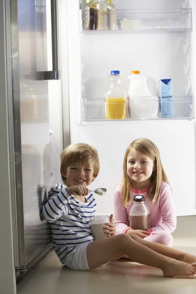 Enfants perquisitionnant le réfrigérateur — Photo