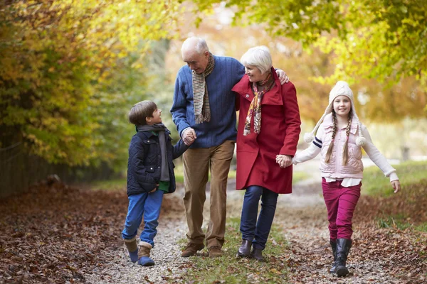 Avós com netos caminhando juntos — Fotografia de Stock