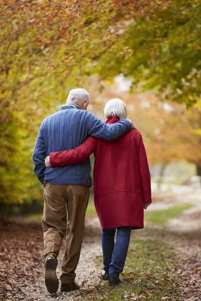 Seniorenpaar spaziert in Park — Stockfoto