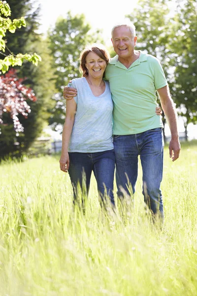 Idősebb párok vidéken — Stock Fotó