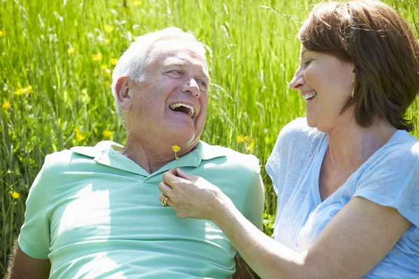 Senior par avslappende om sommeren – stockfoto