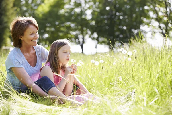 Mormor och barnbarn sitter i fältet — Stockfoto