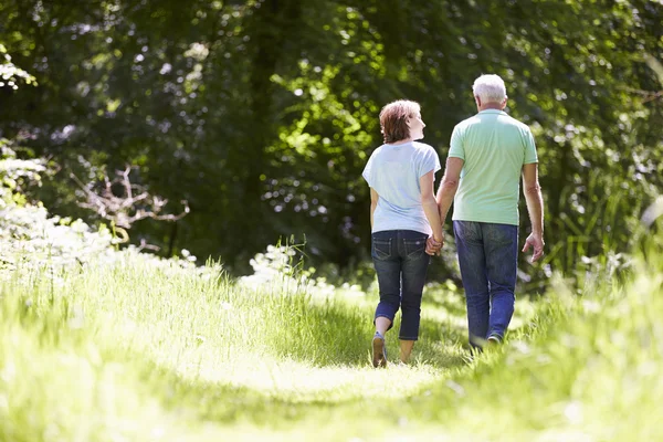 Äldre par promenader på landsbygden — Stockfoto