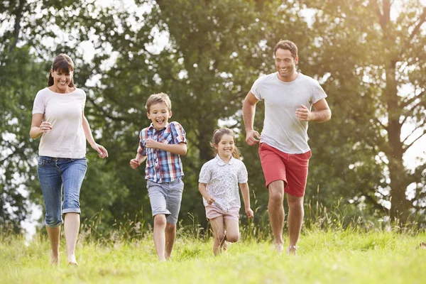 Família sorrindo correndo através do campo de verão — Fotografia de Stock