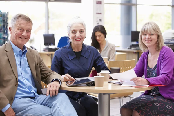 Reife Studenten arbeiten gemeinsam an Projekt — Stockfoto