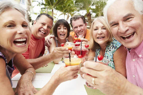 Senior Friends Enjoying Cocktails In Bar