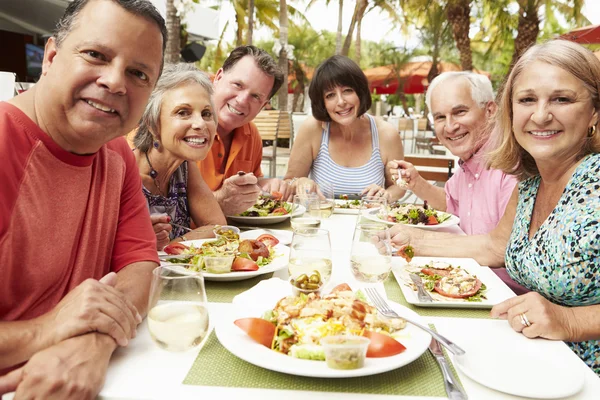 Senior vänner njuter måltid i restaurang — Stockfoto