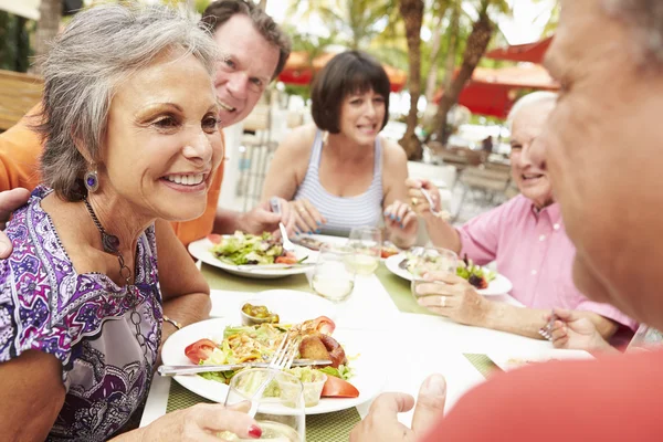 Senior vänner njuter måltid i restaurang — Stockfoto