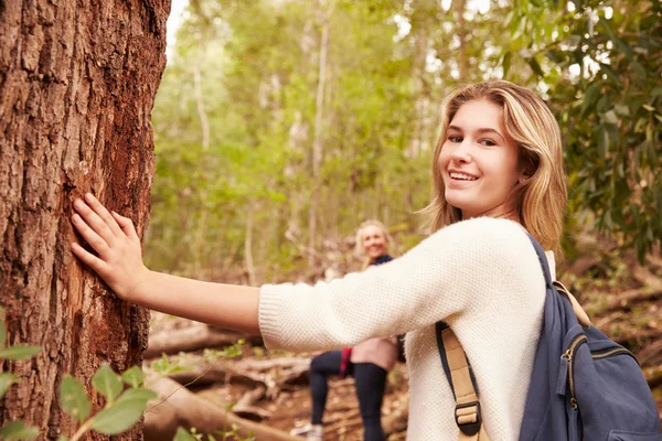 Κορίτσι αγγίζει δέντρο στο δάσος — Φωτογραφία Αρχείου