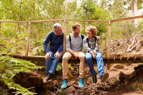 Abuelo, padre e hijo en un bosque — Foto de Stock