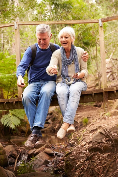 Happy senior couple in forest — Stock Photo, Image