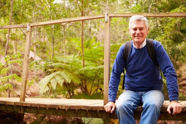 Uomo anziano seduto su un ponte in una foresta — Foto Stock