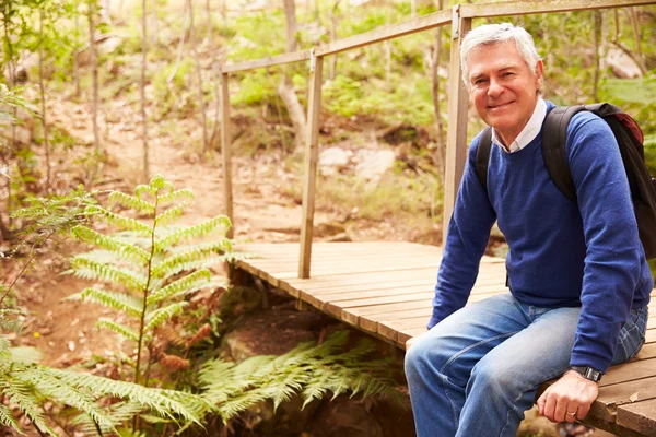 Äldre man på bron i skogen — Stockfoto