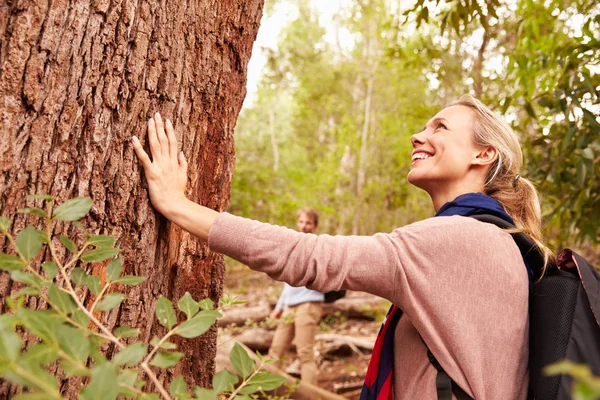 Donna che tocca albero — Foto Stock