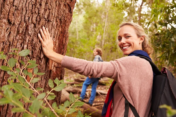 Mujer tocando árbol —  Fotos de Stock