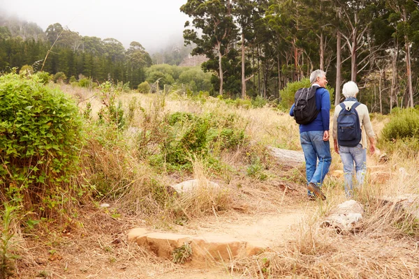 Heureux couple de personnes âgées en forêt — Photo