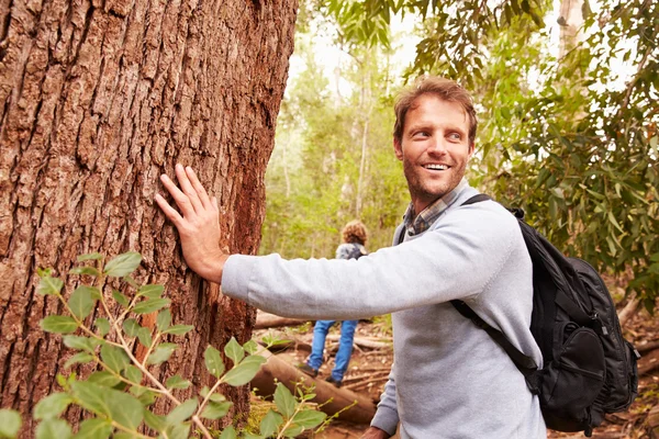 Человек трогает дерево в лесу — стоковое фото