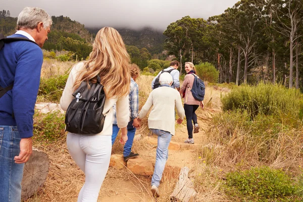 Flergenerations familjen promenader genom skogen — Stockfoto