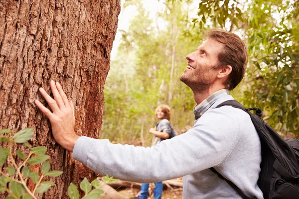 Человек трогает дерево — стоковое фото