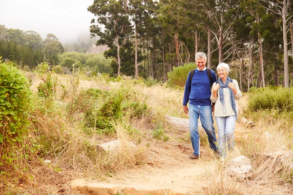 Nöjd äldre par i skogen — Stockfoto