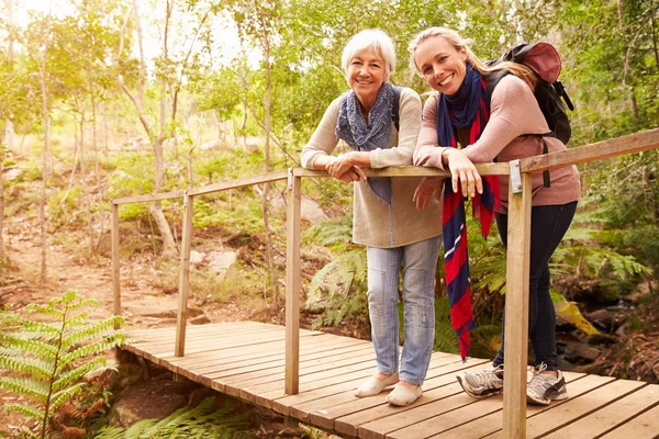 Mor och vuxen dotter på bron — Stockfoto