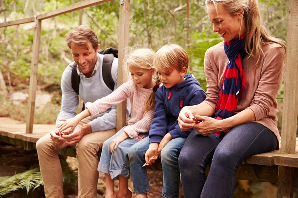 Spelen op een houten brug en gelukkige familie — Stockfoto