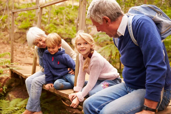 Grootouders met kleinkinderen — Stockfoto