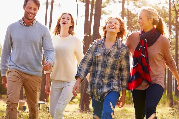 Famille avec adolescents à la campagne — Photo