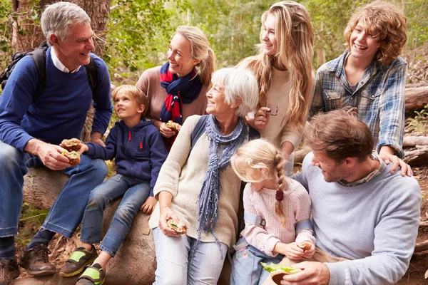 Multi generatie gezin met tieners — Stockfoto