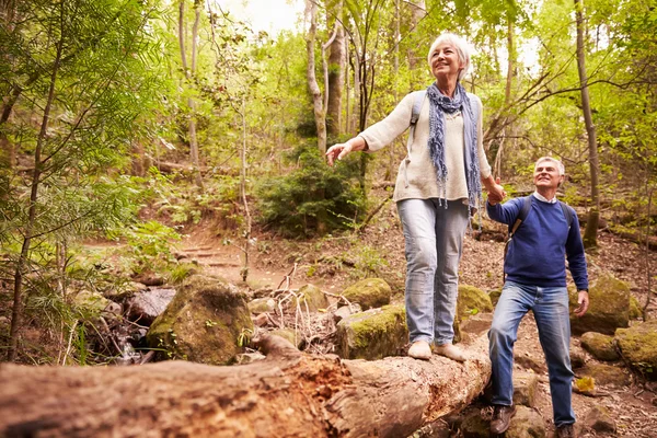 Feliz casal sênior na floresta — Fotografia de Stock