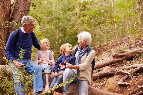 Far-och morföräldrar och barnbarn i skogen — Stockfoto