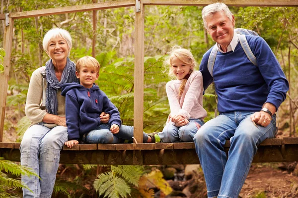 Бабушка и дедушка с внуками на мосту — стоковое фото