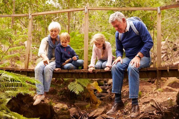 Großeltern sitzen mit Enkeln zusammen — Stockfoto