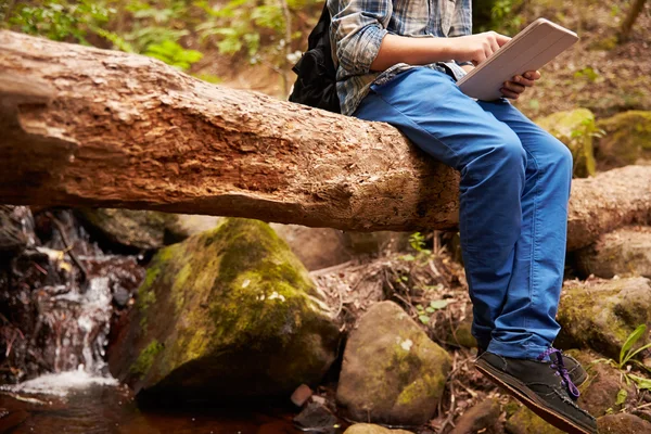 Jongen zit op boom in het bos — Stockfoto