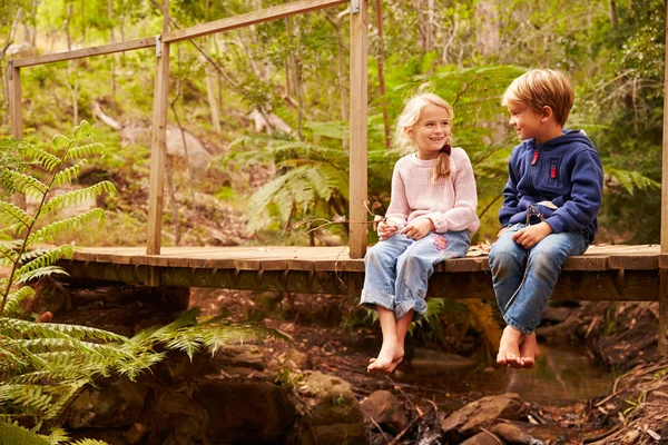 Junge Geschwister sitzen auf einer Brücke — Stockfoto