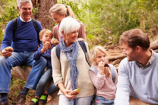 Família de várias gerações juntas na floresta — Fotografia de Stock