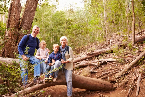 Großeltern und Enkel im Wald — Stockfoto