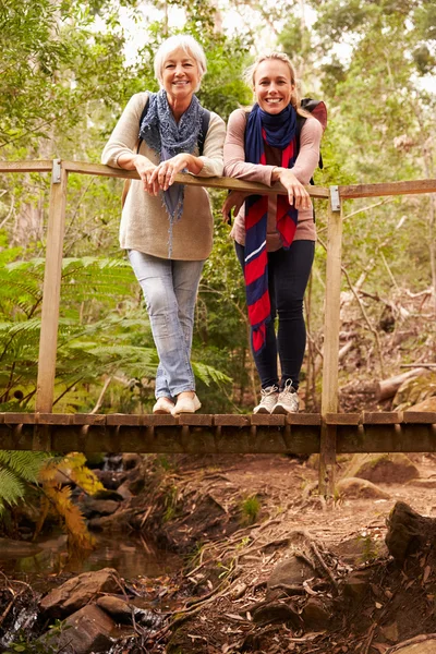 Mother and adult daughter on bridge Stock Photo