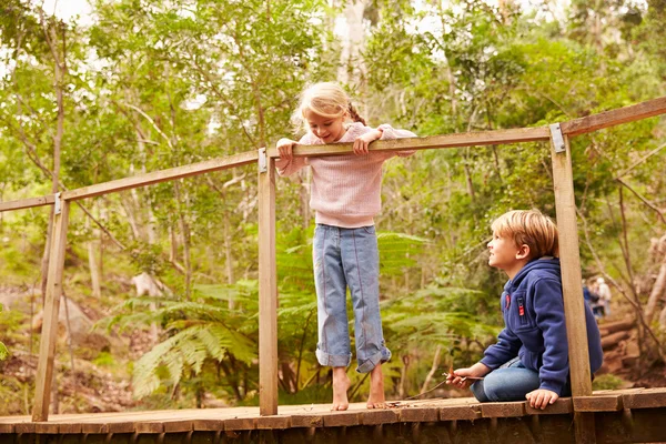 Młodych rodzeństwa grając na most — Zdjęcie stockowe
