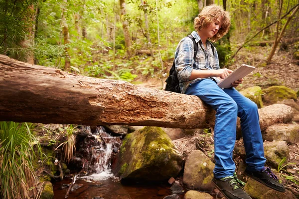 Jongen zit op boom in het bos — Stockfoto