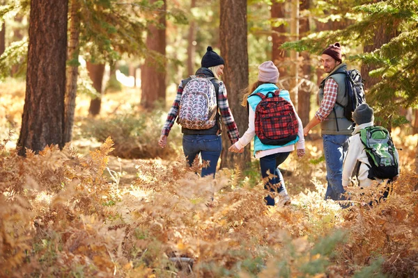 Familie wandelen door bos — Stockfoto