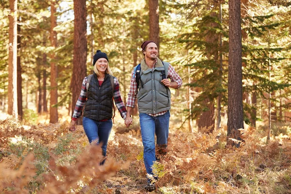楽しんでいるカップルを森でハイキングします。 — ストック写真