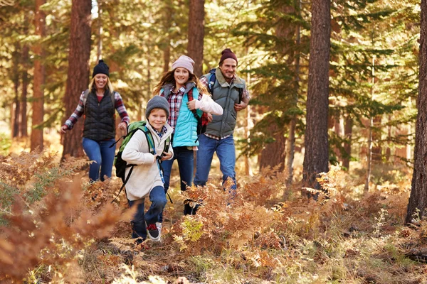 Familia disfrutando de la caminata en un bosque — Foto de Stock