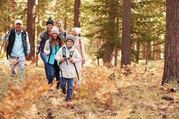 Randonnée en famille multigénération dans une forêt — Photo