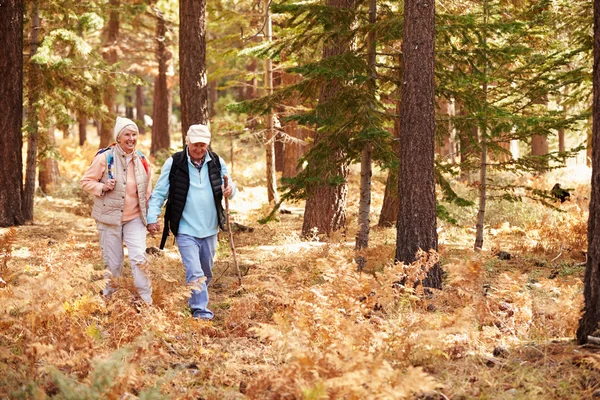 Senior paar wandelen in een bos — Stockfoto