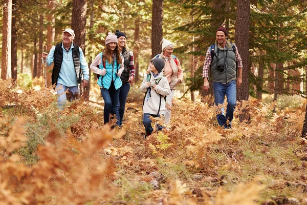 Multi generatie familie wandelen in een bos — Stockfoto