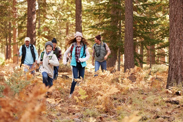 Multi generatie familie wandelen in een bos — Stockfoto