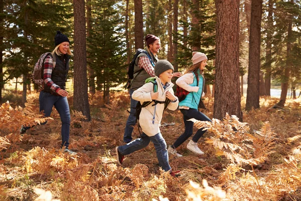 Familie wandelingen door een bos — Stockfoto