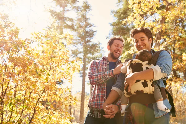 Couple masculin avec bébé marchant dans les bois — Photo