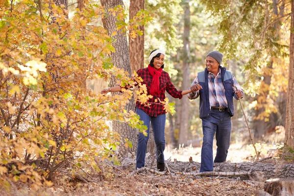 Üst düzey çift Woodland ile yürüyüş — Stok fotoğraf